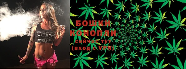 дурь Горно-Алтайск