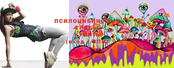 кокс Гусев