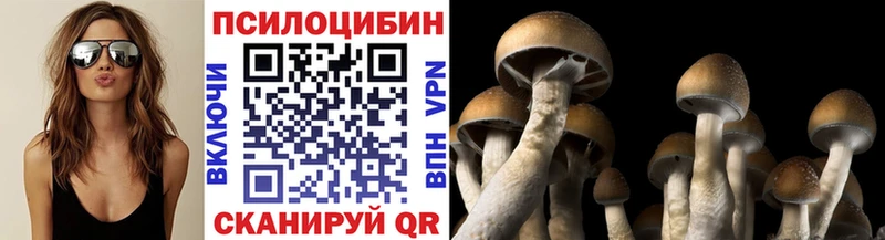Галлюциногенные грибы мицелий  купить наркотик  Черепаново 
